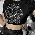 Y2K Beach Dolphin Crop Top - White Summer Graphic Baby Tee